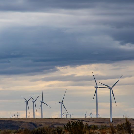 pexels-brett-sayles-1635332